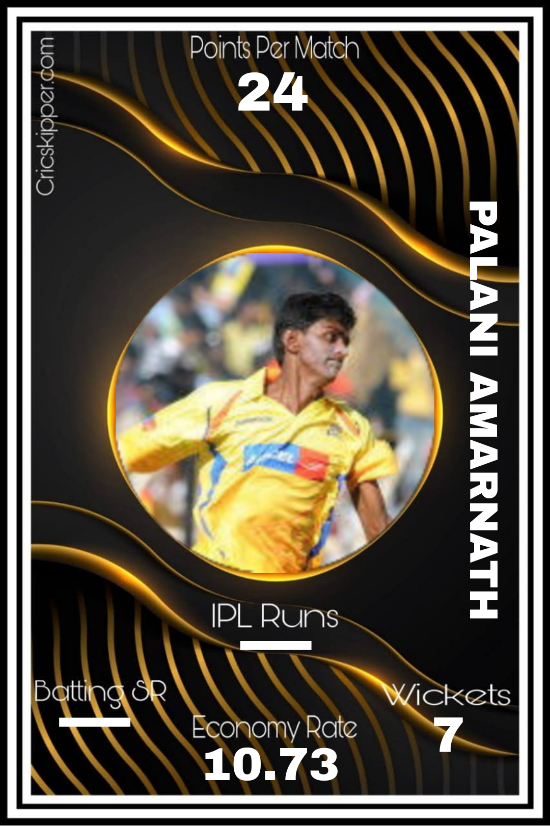 Palani Amarnath