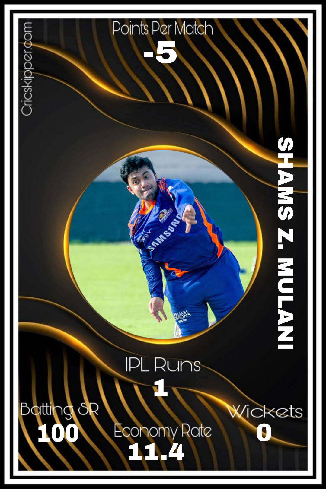 Shams Z. Mulani